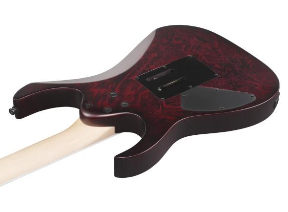 ibanez-rg470dxw-wzm_6981c20893a86.jpg
