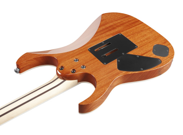 ibanez-rg5320rc-prestige-deep-forest-metallic_6a8f13c62f373.jpg