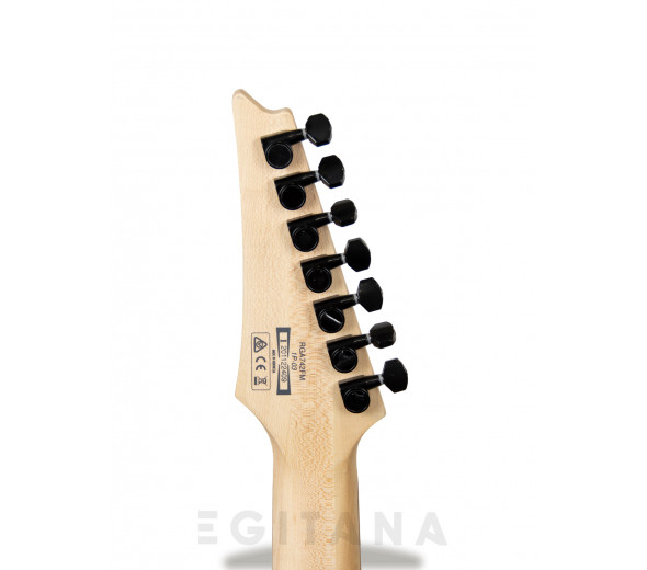 ibanez-rga742fm-tgf_604b4510a2f24.jpg