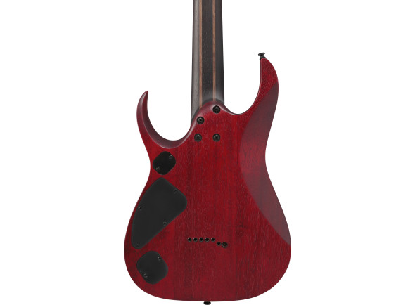 ibanez-rgd721fa-wuf_698ca57c17cf7.jpg