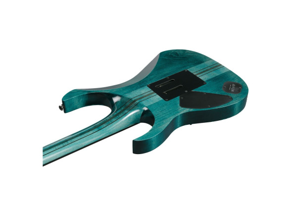ibanez-rgt1220pbkcol_68f9e95b08013.jpg