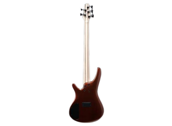 ibanez-sr305er-bm_66c869cfd3bb4.jpg