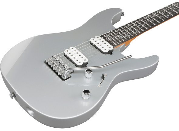 ibanez-tod10-tim-henson-signature-rh-classic-silver-with-bag_64a2c627dbf36.jpg