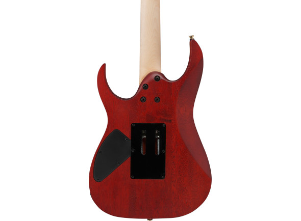 ibanez_691df889d336d.jpg