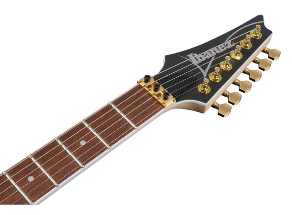 ibanez_691df88ea8b2c.jpg