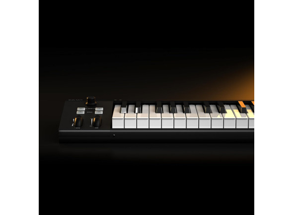 icon-artist-61-teclado-controlador-midi-usb_6a2bf3c74bf28.jpg