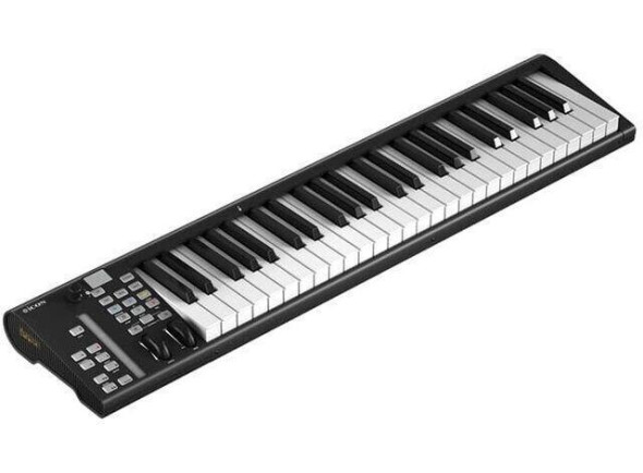 icon-pro-audio-artist-49x_6a2c08757f12d.jpg