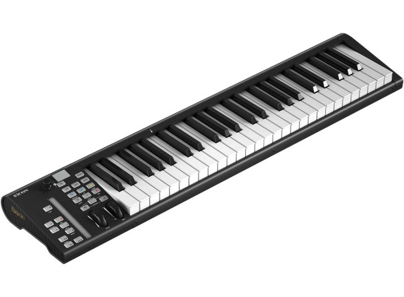 icon-pro-audio-artist-49x_6a4f8070a5648.jpg