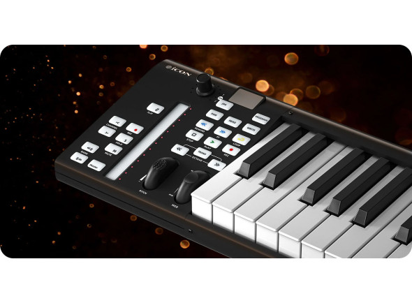 icon-pro-audio-artist-61x_6a2c0969ef118.jpg
