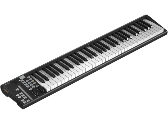 icon-pro-audio-artist-61x_6a4f802e68d2b.jpg