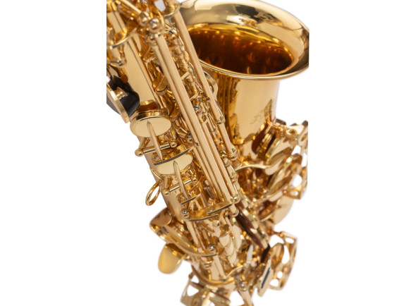 j-michael-sax-alto-al-500_697b2ae079281.jpg