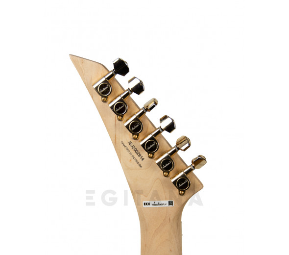 jackson-pro-series-rhoads-rr3-ebony-fingerboard-ivory-black-pinstripes_602a45eb9a8dd.jpg