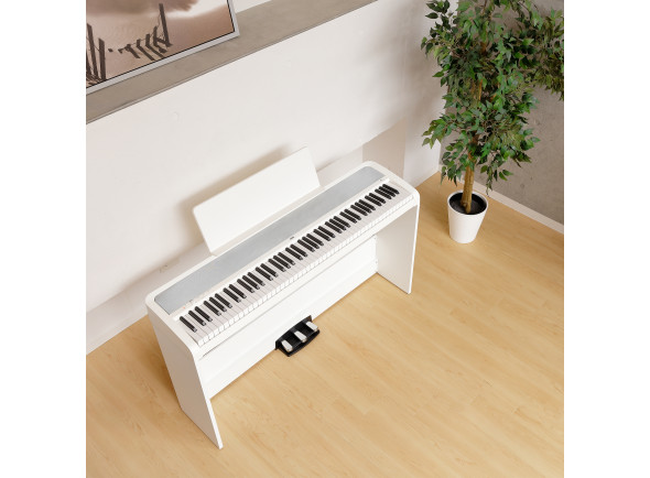 korg-b2-sp-white_6557757e2bed6.jpg