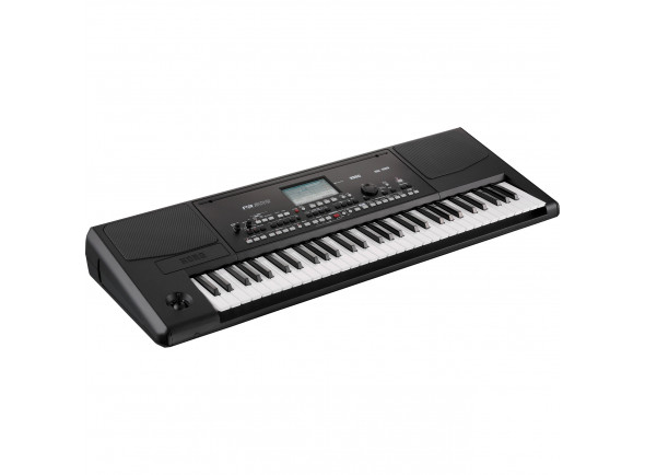 korg-pa300_63bd87c983d03.jpg