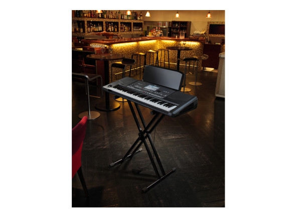 korg-pa600_6a8c6cfa8260c.jpg