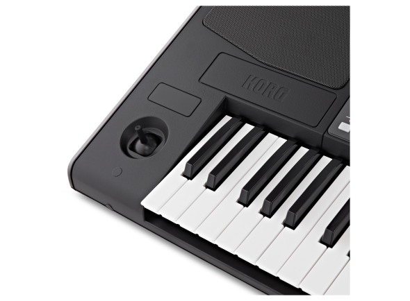 korg-pa600_6a8c6cfe454e4.jpg