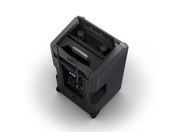 ld-systems-anny-10-hhd-2-b6_6a2adb3301869.jpg