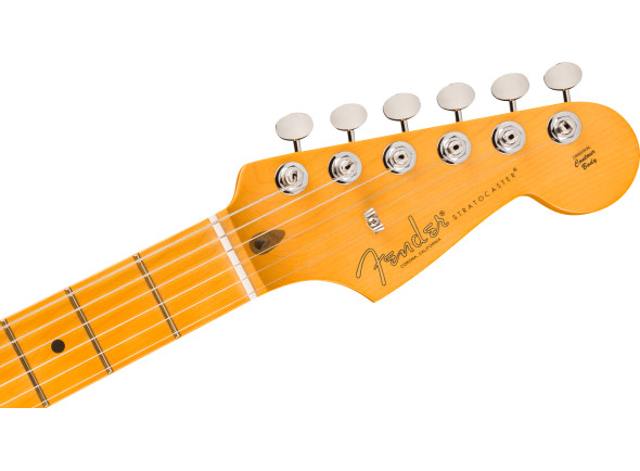 limited-edition-american-professional-classic-stratocaster-silent-system-car_6ab2471892de2.jpg