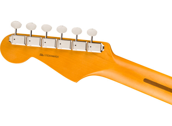 limited-edition-american-professional-classic-stratocaster-silent-system-car_6ab2471cc19e8.jpg