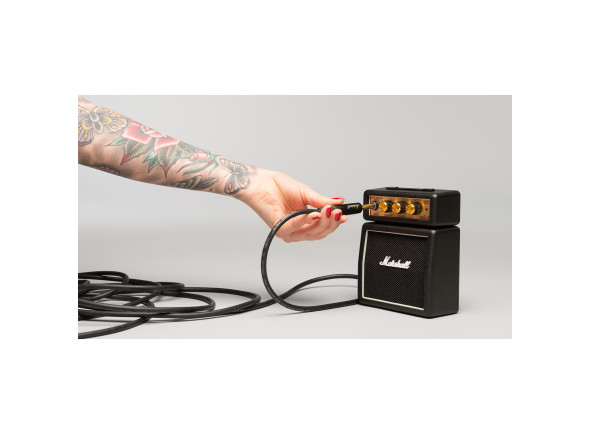 marshall-ms-2_6411b7dc01cce.jpg