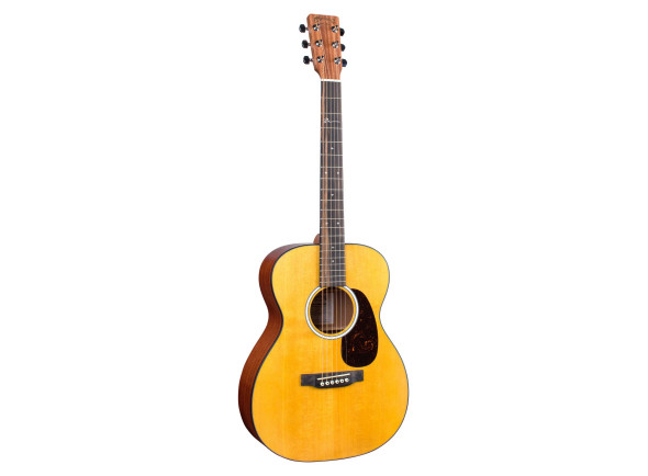 martin-guitars-000jr-10e-shawn-mendes_6777d9b69a152.jpg