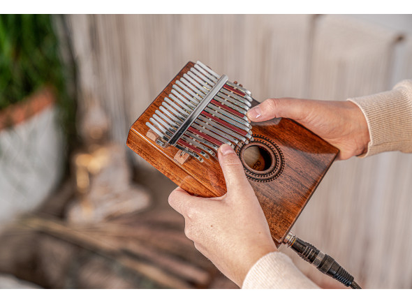 meinl-17-notes-pickup-kalimba-acacia_6708e35ee10e0.jpg