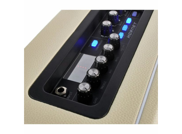 mooer-hornet-modelling-combo-wh_6a1428664dd38.jpg
