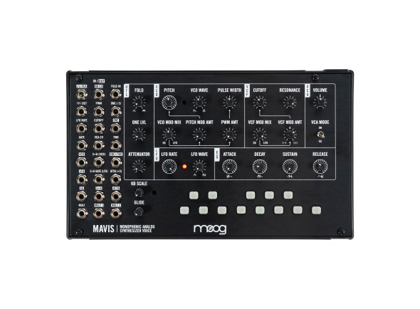 moog-mavis_66264279637a3.jpg