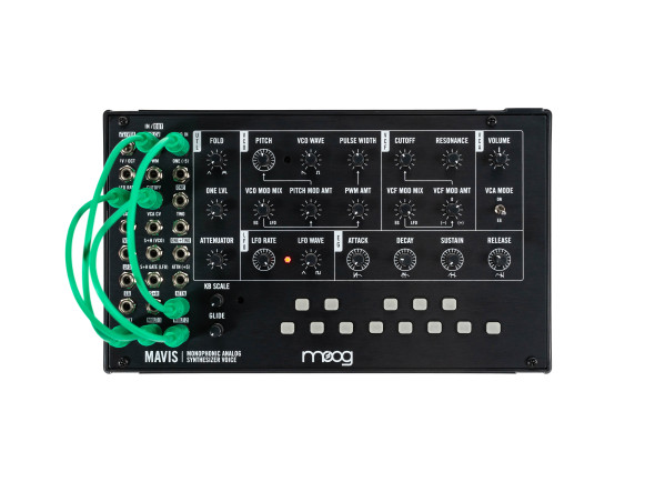 moog-mavis_66264280ed4dc.jpg