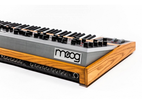 moog-one-16_5bc4bba6c9f7b.jpg