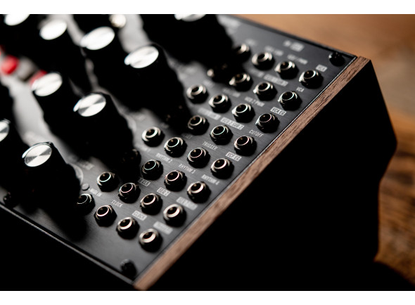 moog-subharmonicon_66264010ec01a.jpg