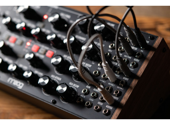 moog-subharmonicon_66264021032c0.jpg