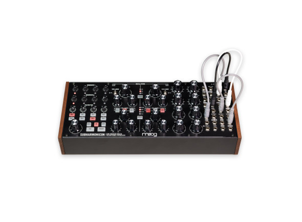 moog-subharmonicon_6626403d446d9.jpg