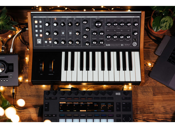 moog-subsequent-25-analog-synthesizer_662247e5d376a.jpg