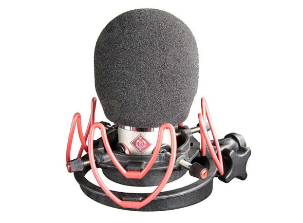 neumann-tlm-102-foam_6261735e82d7d.jpg