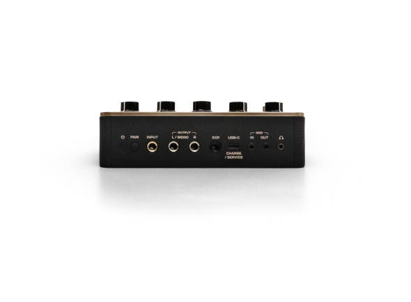 positive-grid-spark-pedal_6ae316c9c7f31.jpg