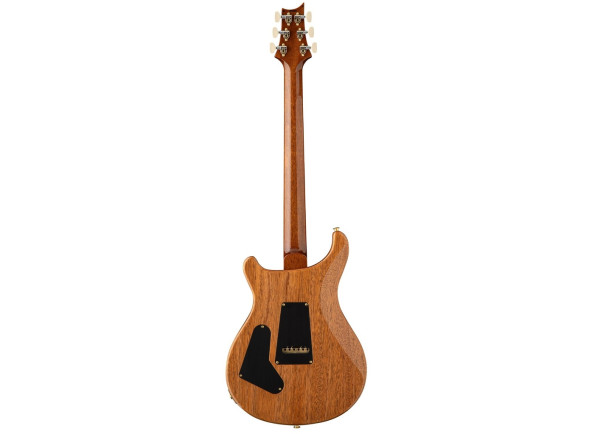 prs-guitars-custom-24-tiger-eye_6ae1ffe2982ea.jpg