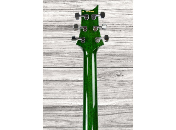 prs-s2-custom-24-08-thin-eriza-green_65c4e625405c7.jpg