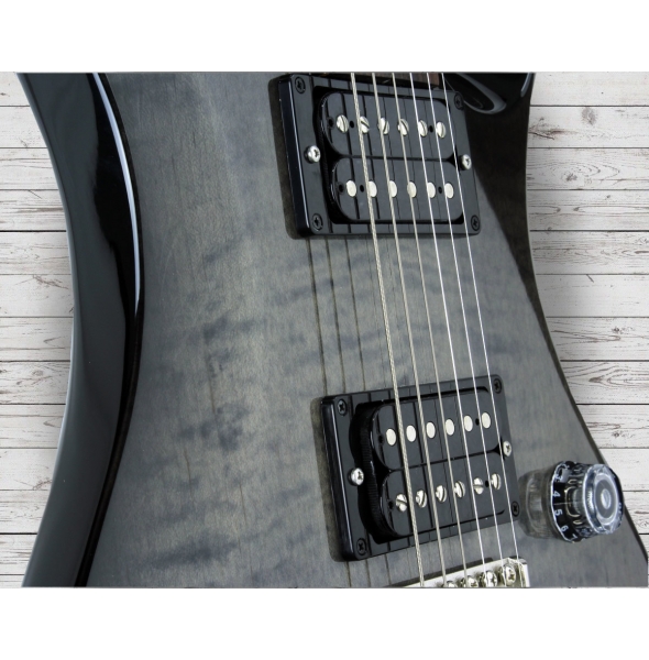 prs-s2-custom-24-elephant-gray_5caccff779408.jpg