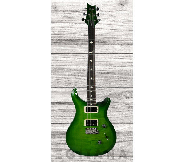 prs-s2-custom-24-eriza-green_6380c9cd87f56.jpg