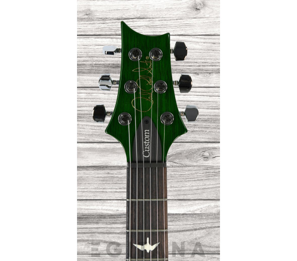 prs-s2-custom-24-eriza-green_6380c9ce33327.jpg