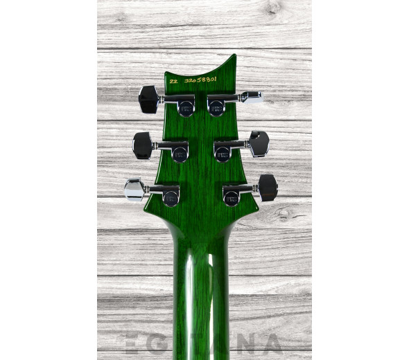 prs-s2-custom-24-eriza-green_6380c9cee0818.jpg