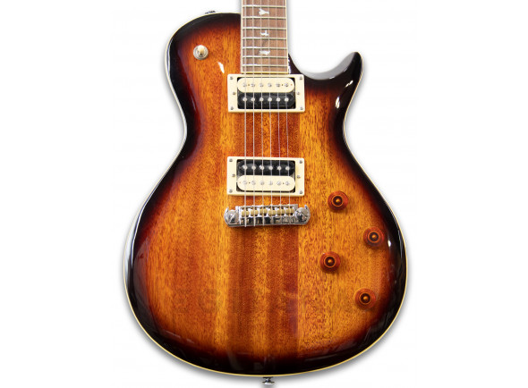 prs-se-245-standard-ts_602a7f7f3f825.jpg