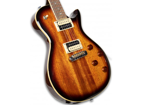 prs-se-245-standard-ts_602a7f8033b7d.jpg