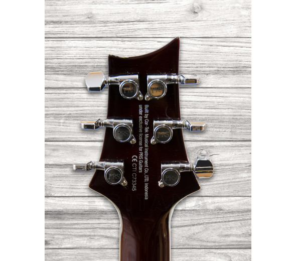 prs-se-245-standard-ts_6093cd94e2801.jpg