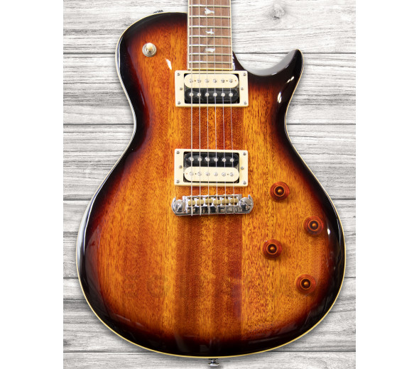 prs-se-245-standard-ts_6093cd97886d3.jpg