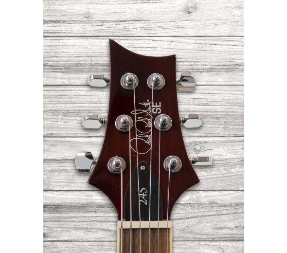 prs-se-245-standard-ts_6093cd9a115a4.jpg