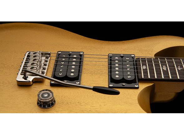 prs-se-ce24-standard-satin-metallic-gold-2025_68dfdacb346c5.jpg