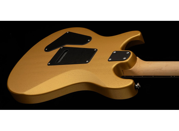 prs-se-ce24-standard-satin-metallic-gold-2025_68dfdacfdd896.jpg