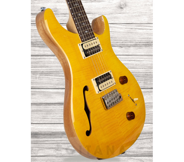 prs-se-custom-22-semi-hollow-sy_609a6fefdf04a.jpg